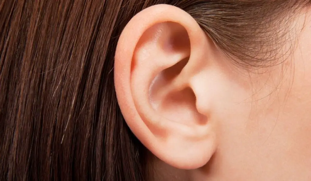 Close up of woman's ear