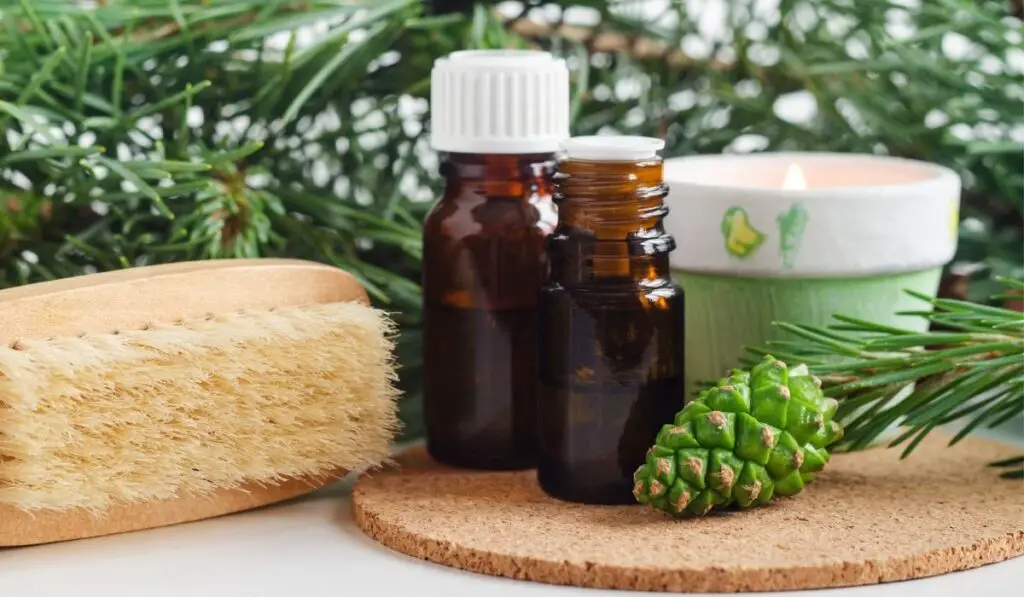 Small glass bottles with essential pine oil